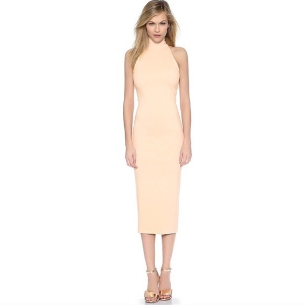 Torn by Ronny Kobo Thiadora Dress small